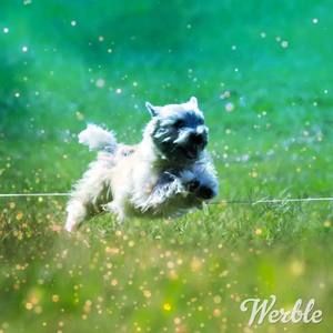 Meet your Posher, Caitlin